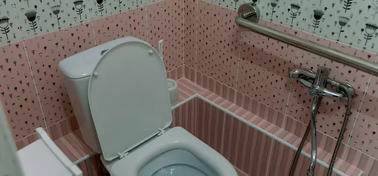 Meeting Diverse Needs With Accessible Restroom Solutions in Marion, IL